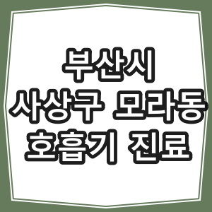 부산시 사상구 모라동 호흡기 내과 진료 동네 병원