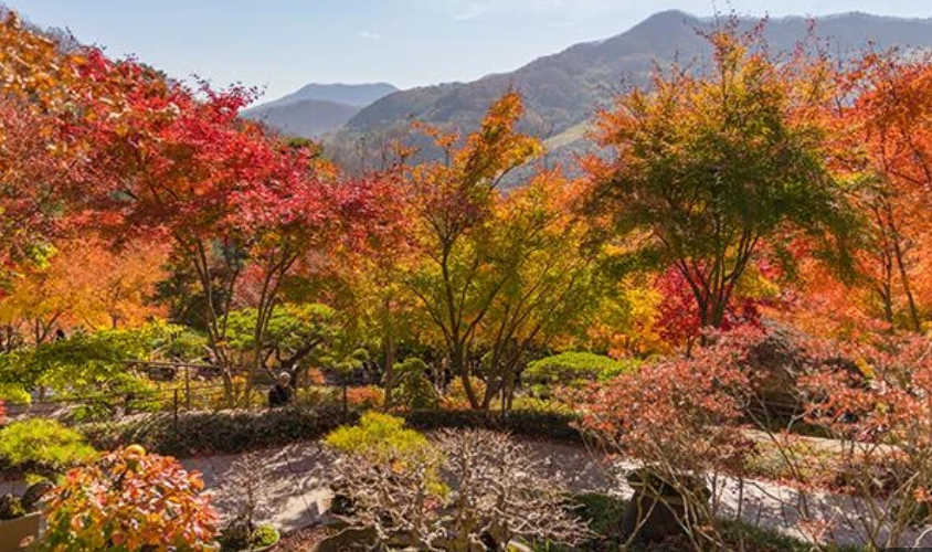 10월 화담숲 예약 방법