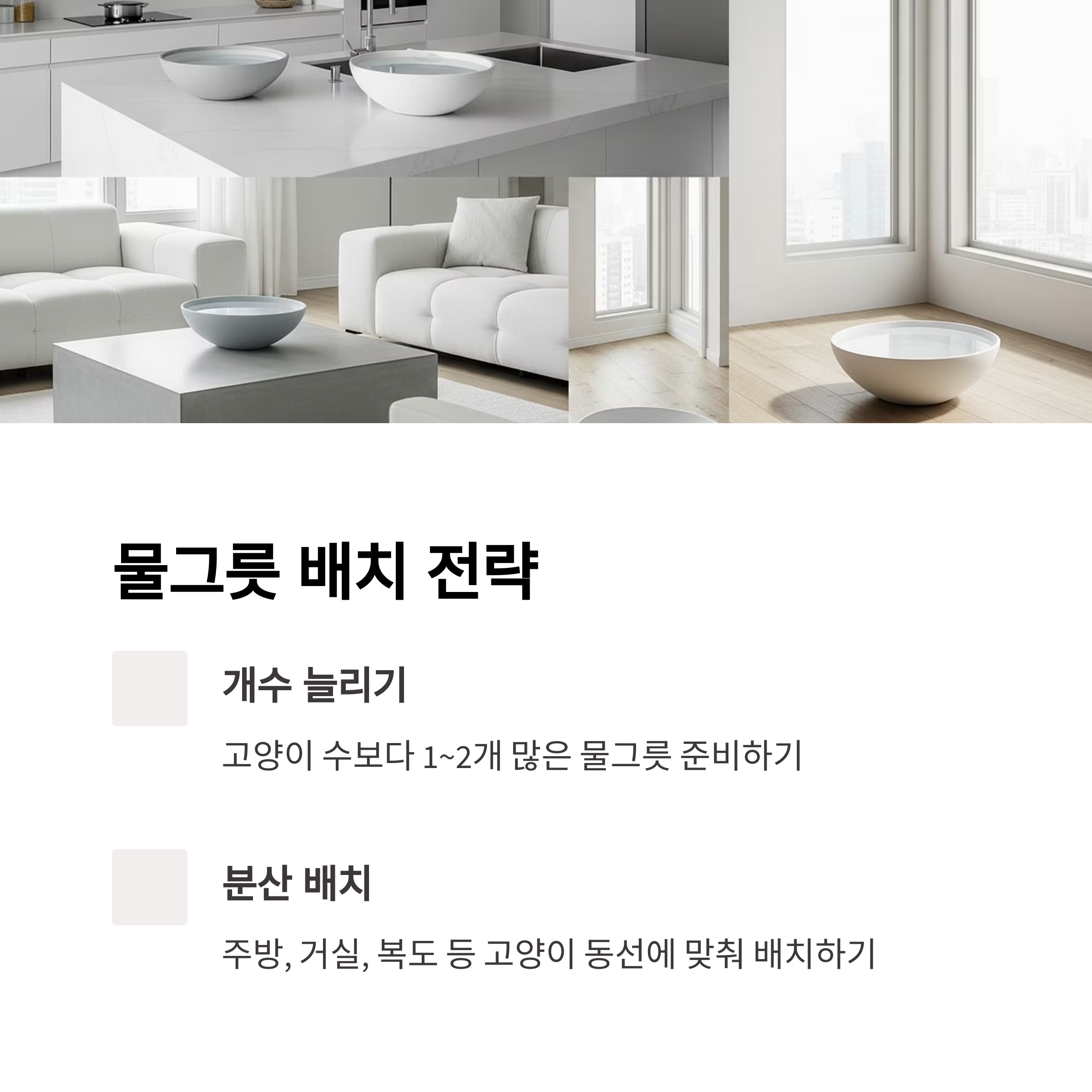 물그릇 배치 전략