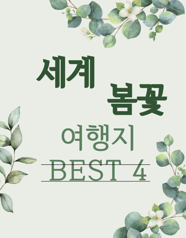 세계봄꽃여행지