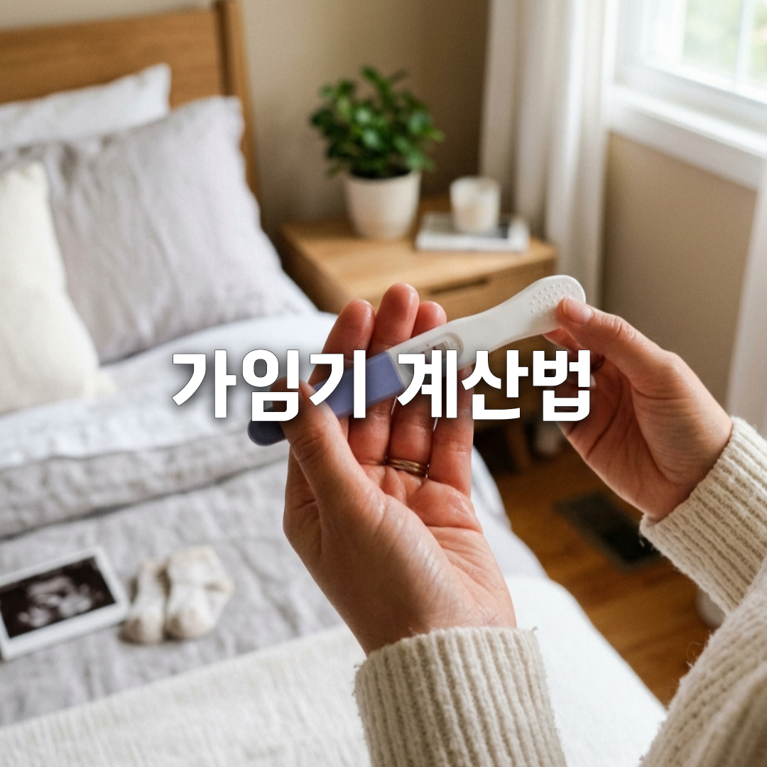 가임기 계산 이렇게 하세요✅ 임신 확률 높이는 핵심 타이밍