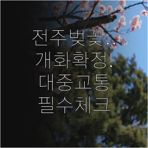 전주 덕진구 벚꽃 개화 예상 시기 및..