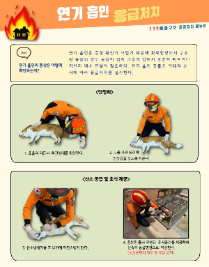 연기 흡인 응급처치