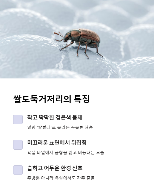 쌀도둑거저리의 특징