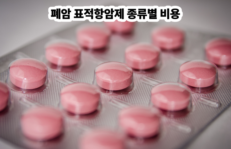 폐암 표적항암제 종류별 비용