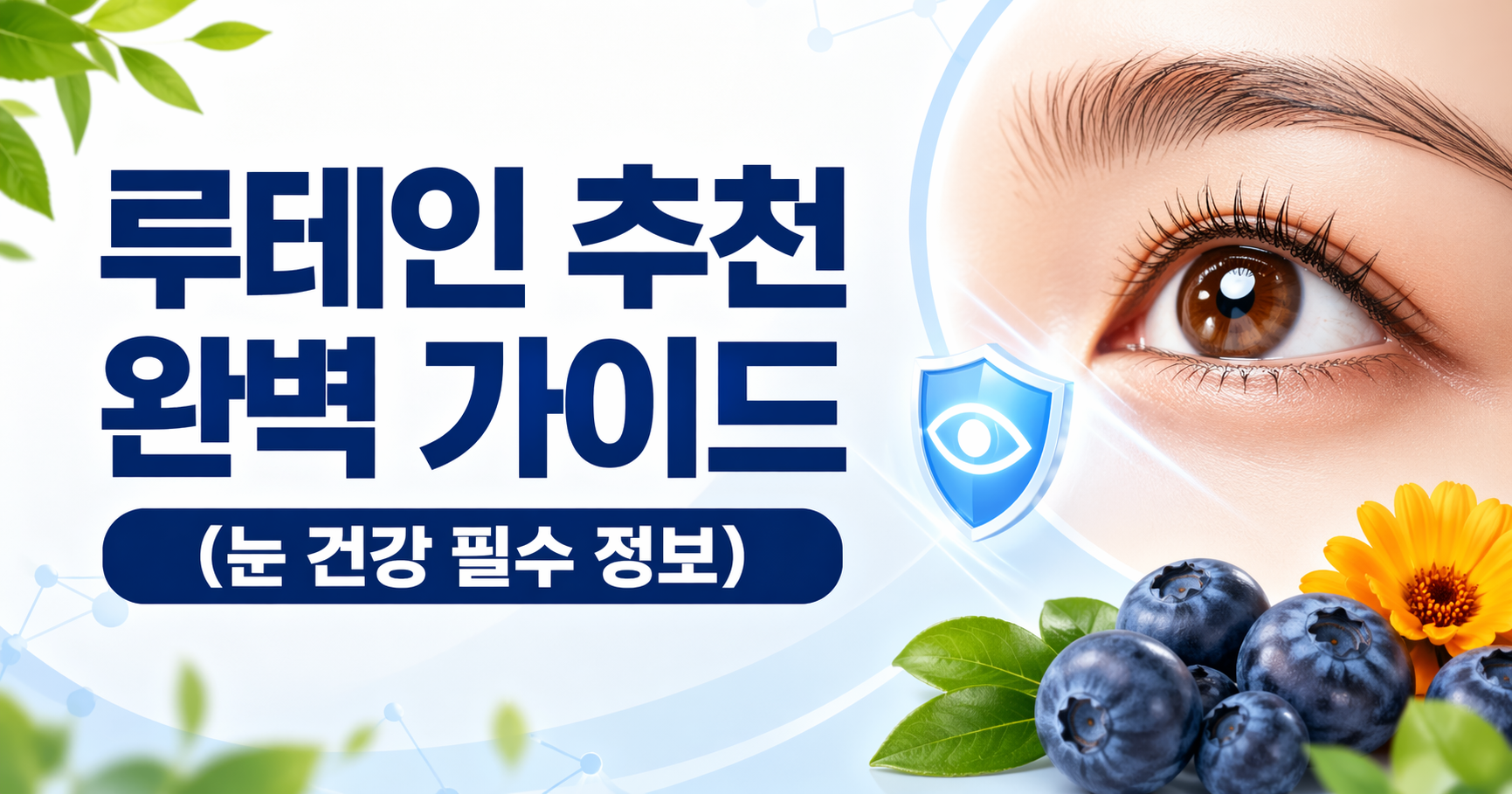 루테인 추천