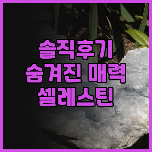 더 셀레스틴 도쿄 시바 솔직 후기! ..