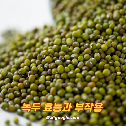 녹두 효능과 부작용