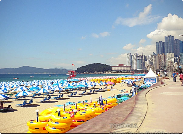 해운대