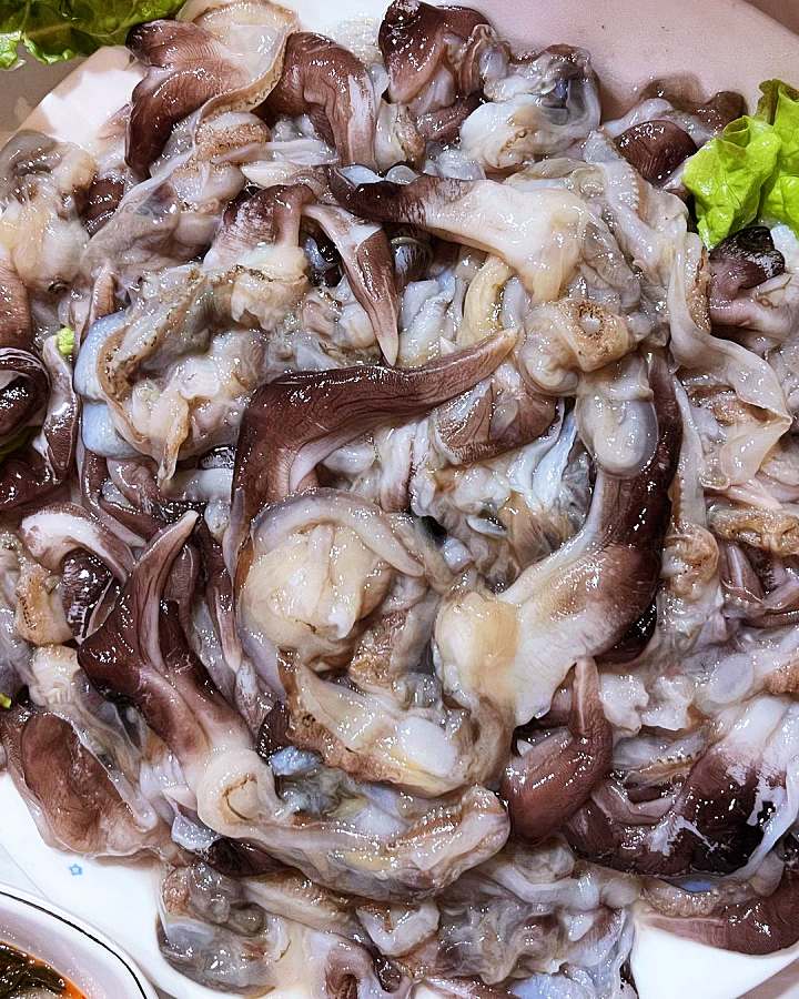 우리 캠핑 왔어요 충남 홍성 새조개 샤브샤브 맛집 부모님과 함께 떠나는 효도 관광 여행 코스 가볼만한 곳 추천