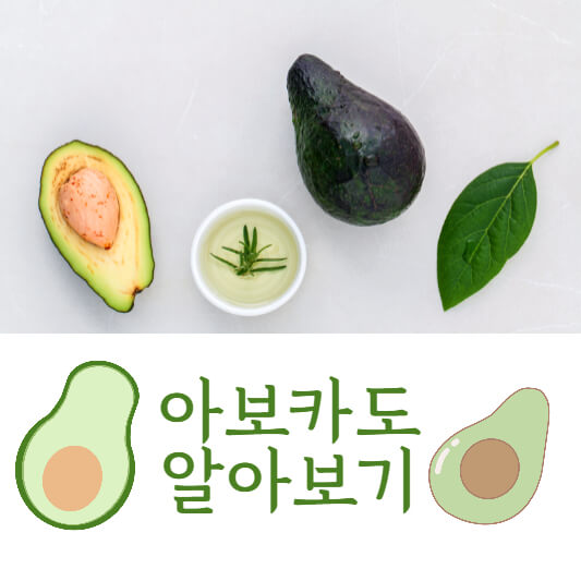 아보카도