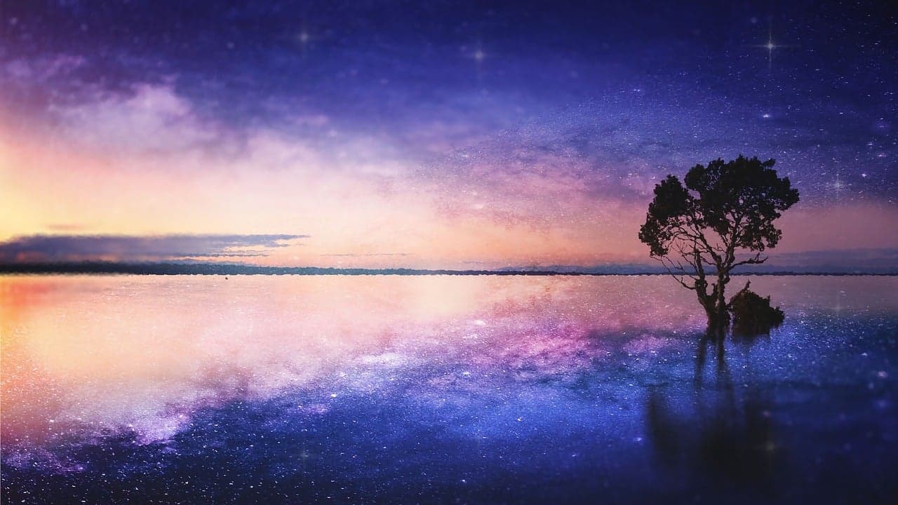 몽환과 그리움의 아리아 <Die tote Stadt >속 “Mein Sehnen, mein Wähnen”