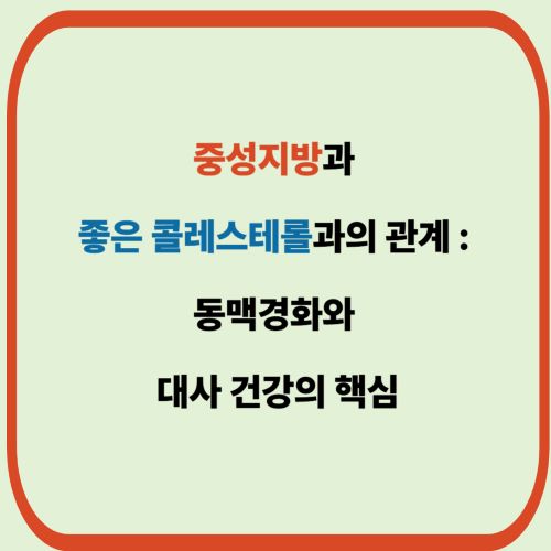 중성지방과 좋은 콜레스테롤(HDL)의 관계 : 동맥경화와 대사 건강의 핵심