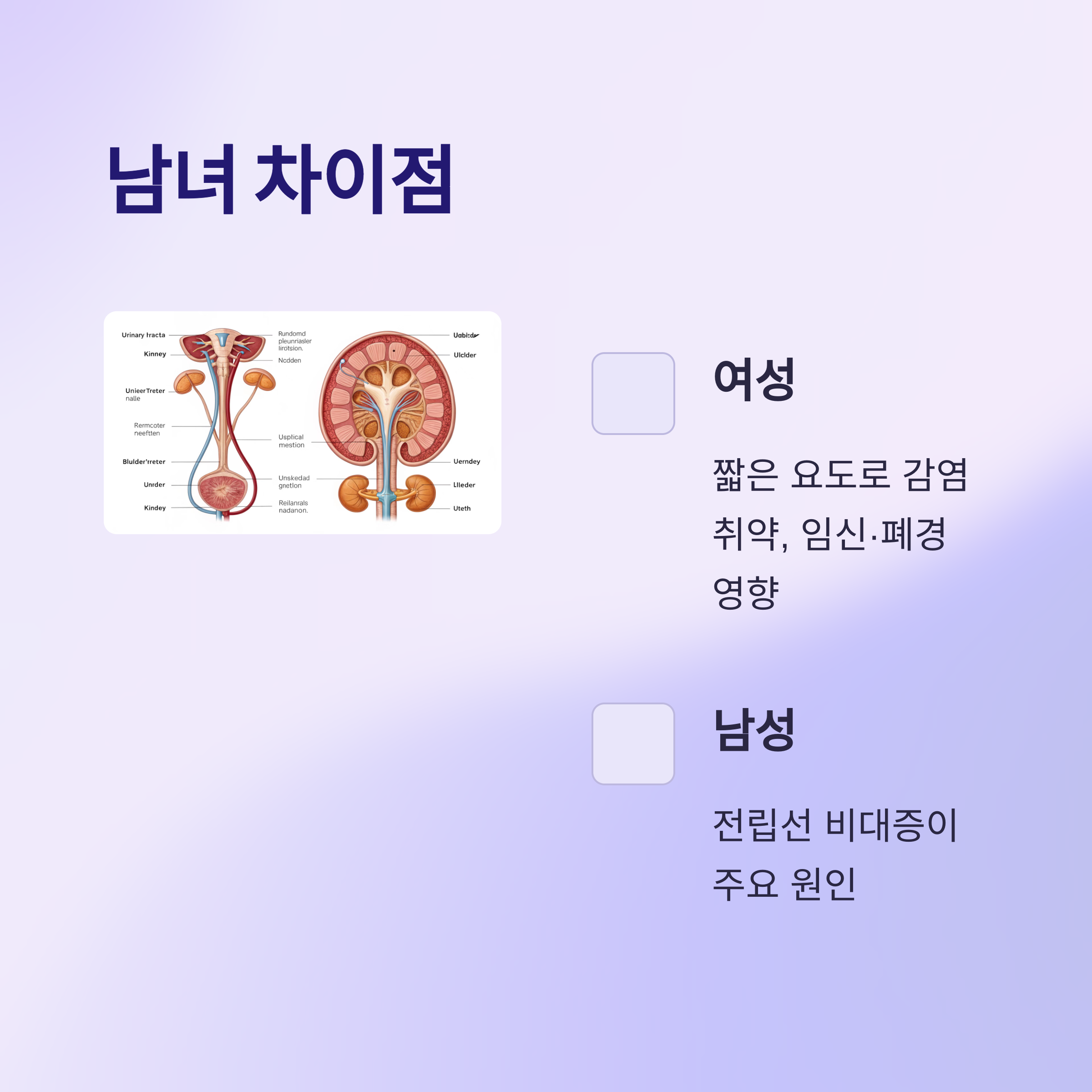 남성과 여성의 차이