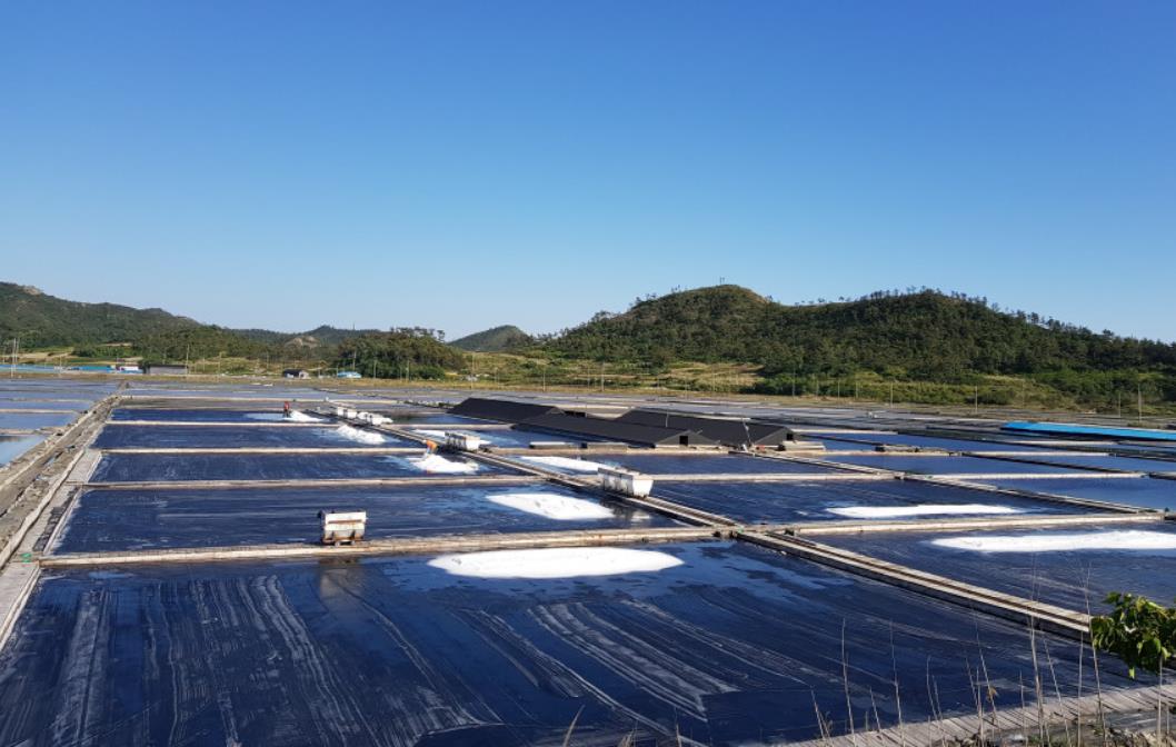 6시내고향 신안 천일염 염전 모습