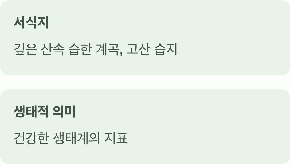 젖은 땅을 사랑하는 '물의 요정'