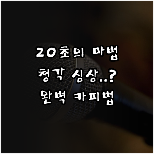 20초 라디오 광고 최적 카피 분량과..