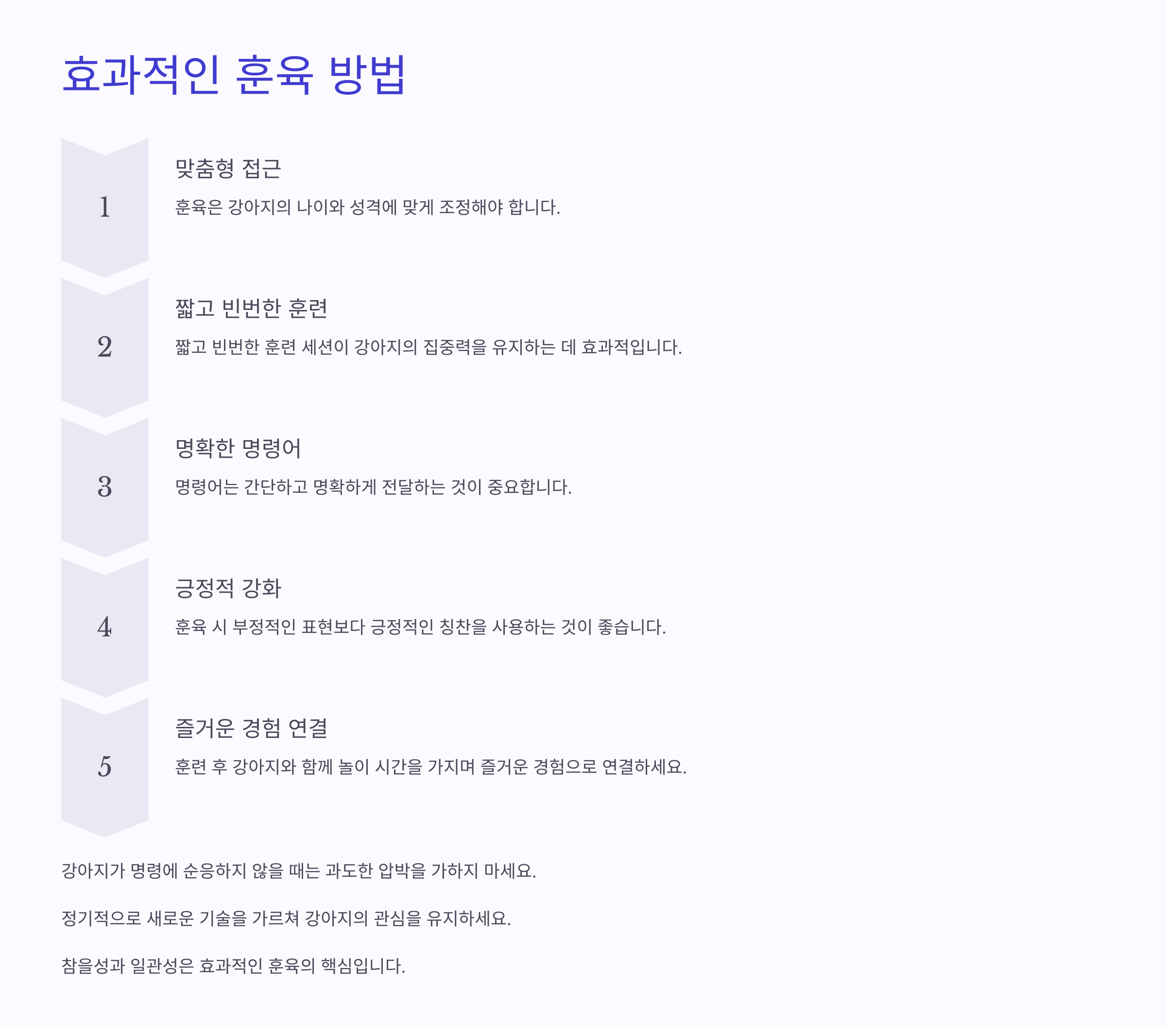 효과적인 훈육 방법
