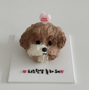 왈테이블 강아지 케이크 종류