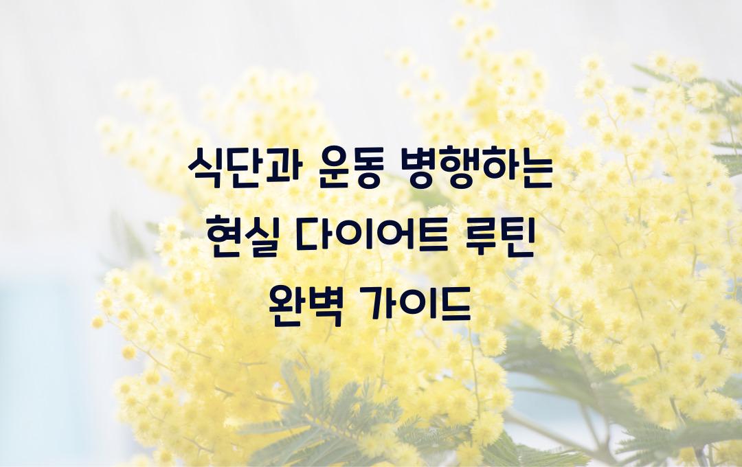  식단과 운동 병행하는 현실 다이어트 루틴