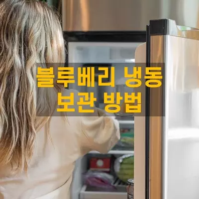 블루베리 냉동 보관 방법