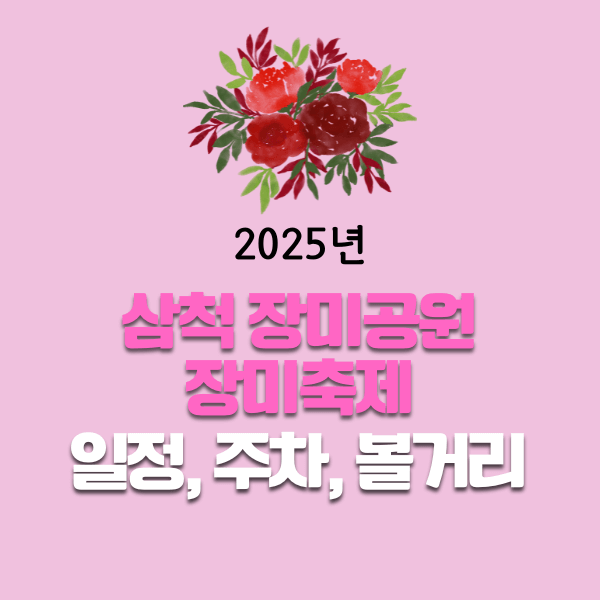 2025 삼척 장미공원 장미축제 일정, 주차, 볼거리