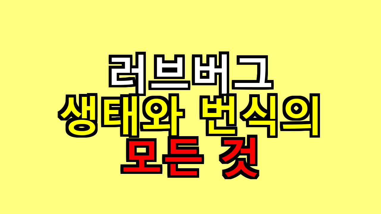 러브버그 생태와 번식의 모든 것