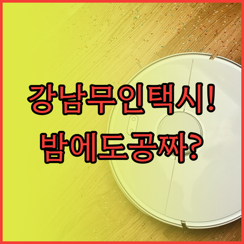 강남 자율주행 택시 심야 운행 시간과..