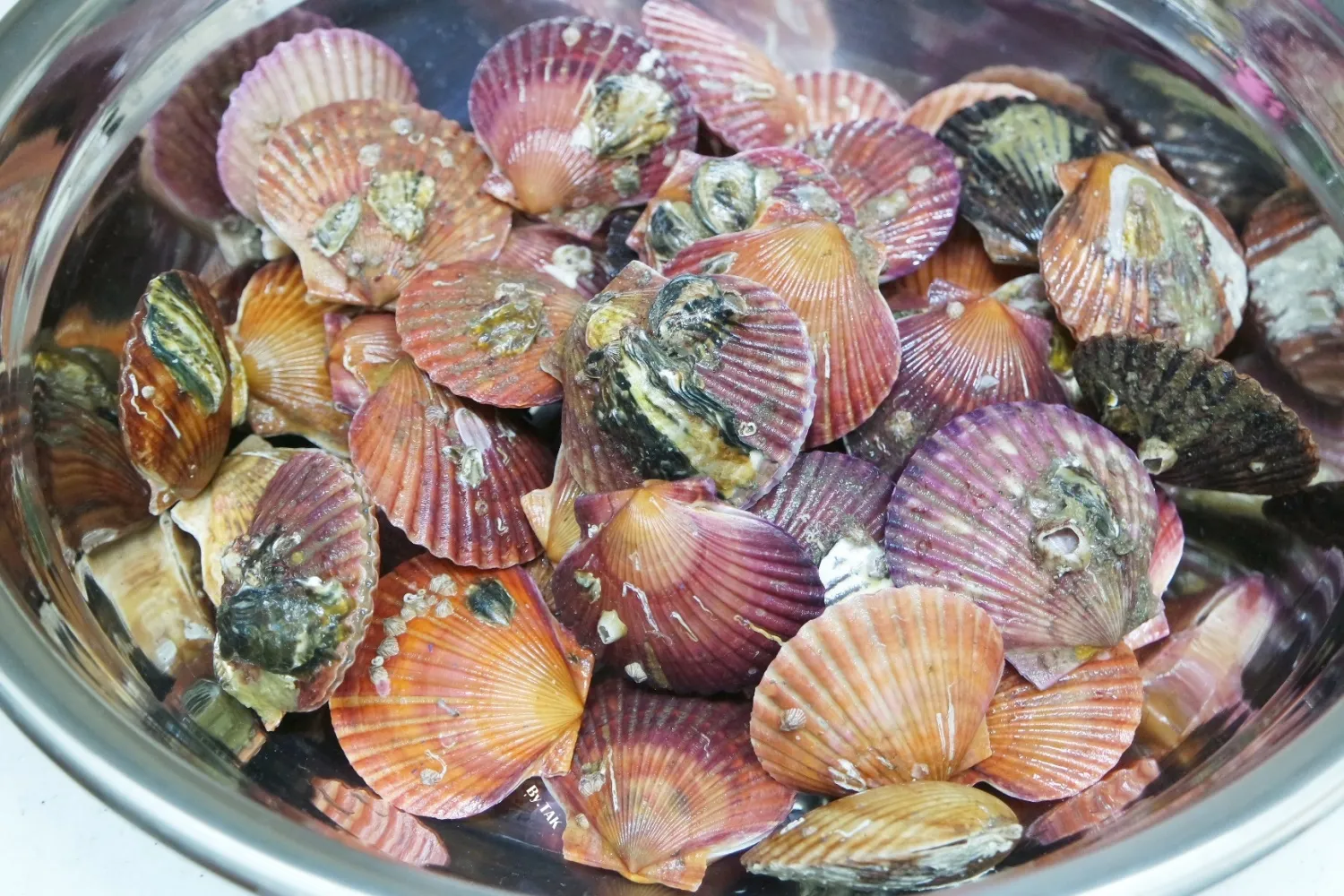 가리비 요리 10가지 황금레시피_7