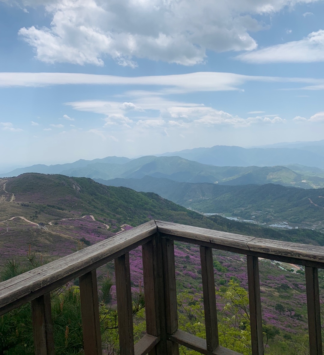 높아질수록 더 이뻐지는 풍경들