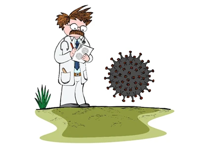 마그네슘과 면역력