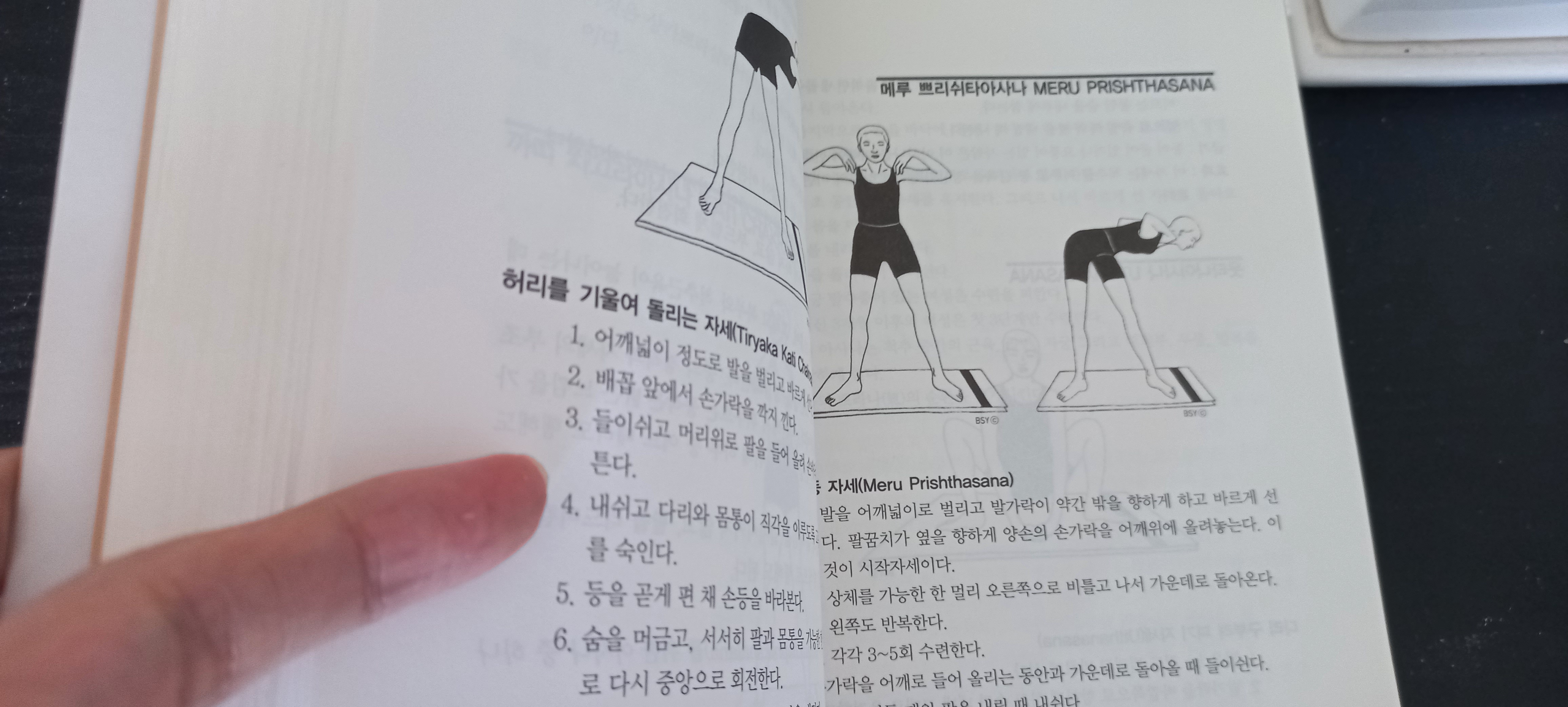 요가 효과