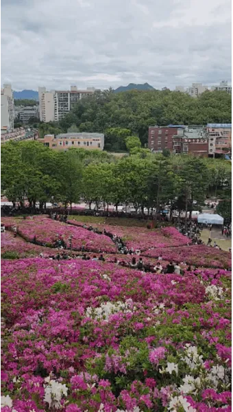 군포 가볼만한곳 베스트10 현지인 추천 필수코스_20