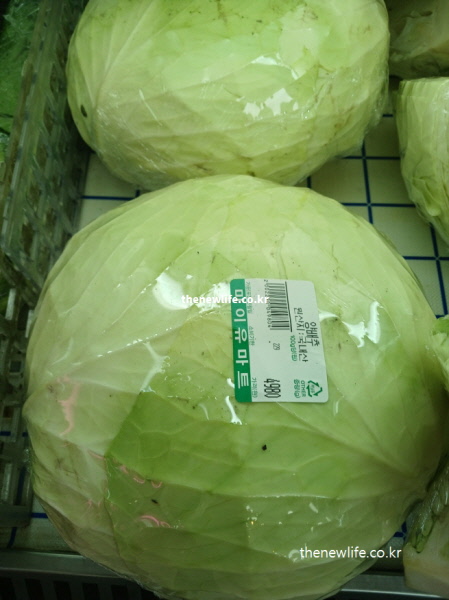 양배추 효능 먹는 방법