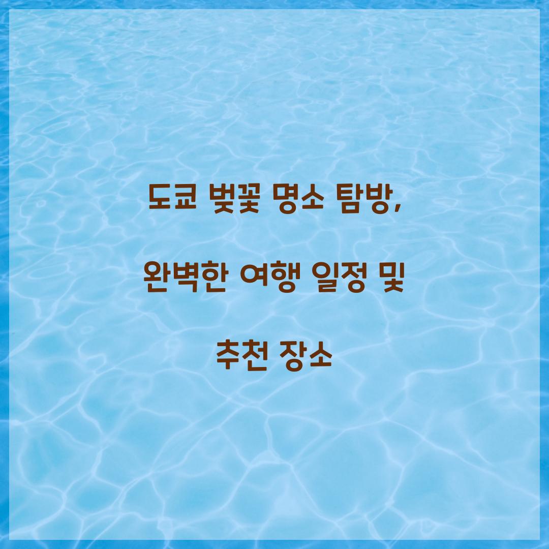 도쿄 벚꽃 명소