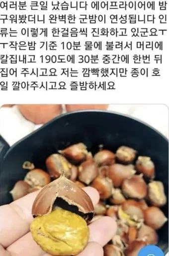 에어프라이어 밤 굽기 꿀팁 레시피_11