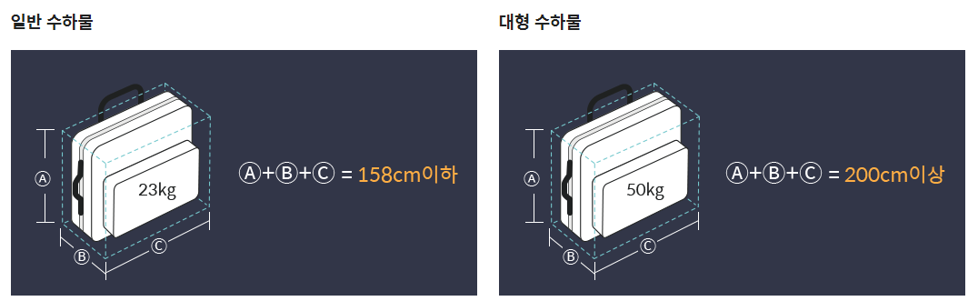 기내 수하물