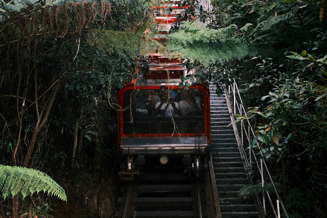 2025 화담숲 모노레일 현장: 7가지 꿀팁 관련 이미지 1