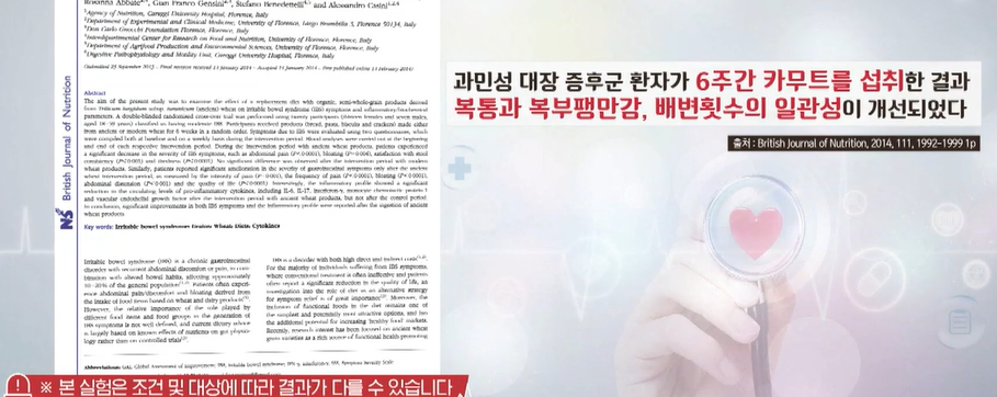 카무트 효소 효능