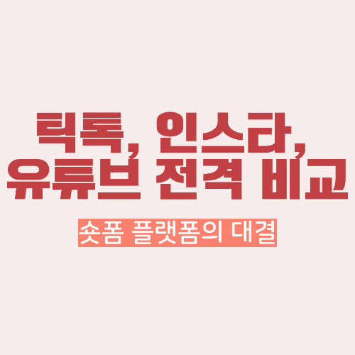 숏폼플랫폼비교