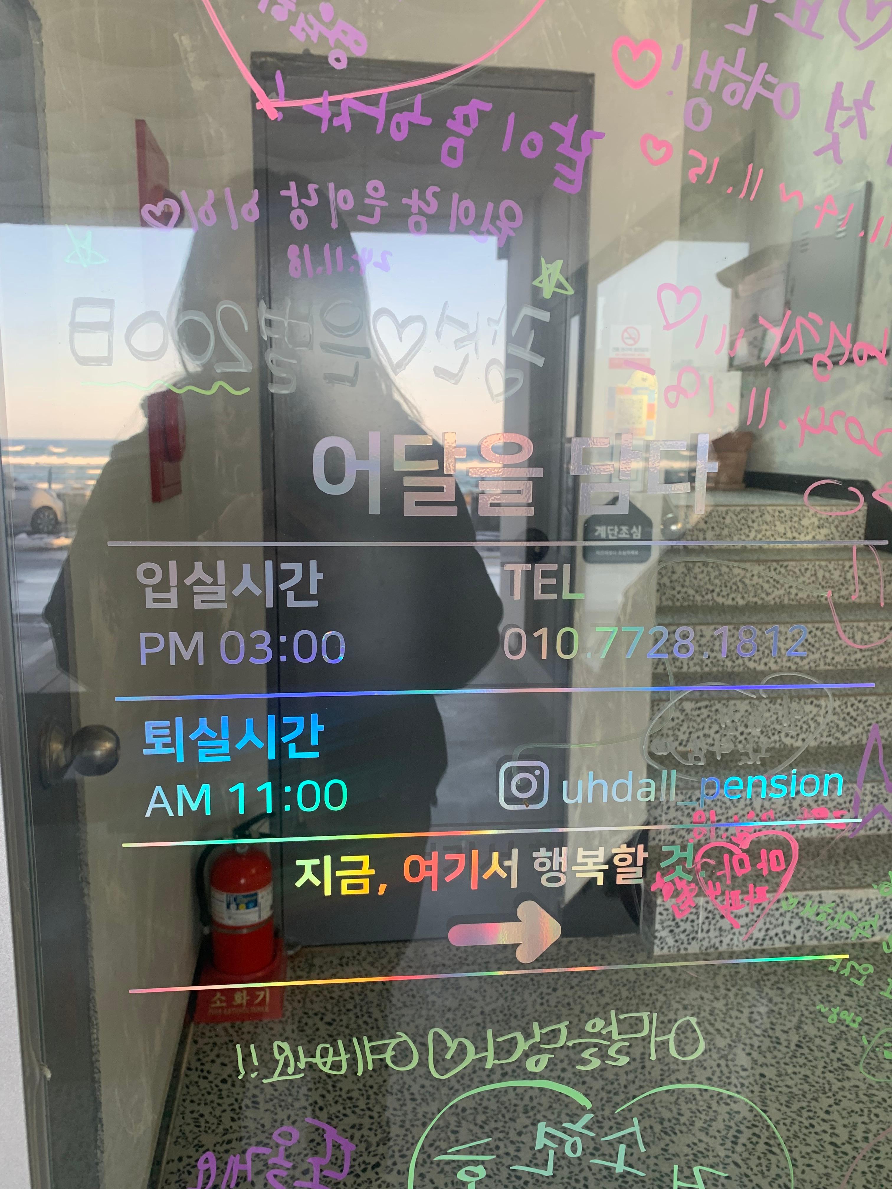 묵호 오션뷰 숙소 어달을담다 후기🌊 통창뷰에 청결까지 완벽한 펜션 추천!