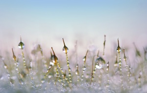 동계아시안게임 메달순위 및 피겨일정