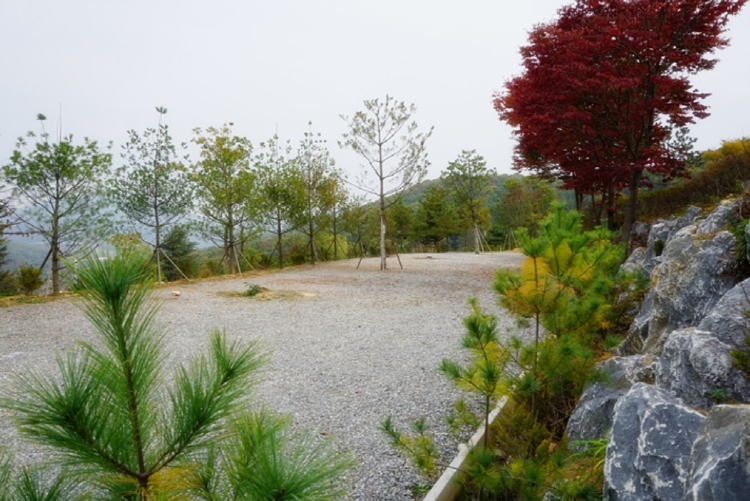 양평수목원캠핑장