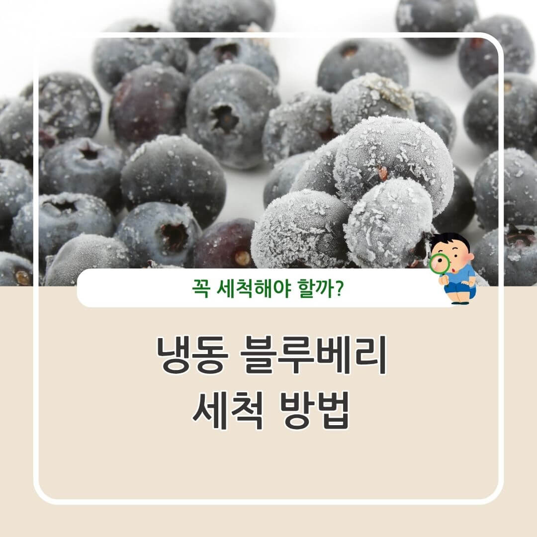 냉동 블루베리 세척 방법과 보관시 주의시항
