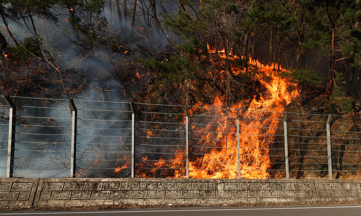 계속되는 강풍 속 산청 산불, 대원 2명 사망 2명 실종…
