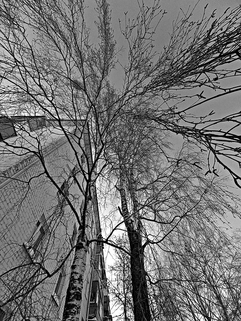 2월 첫째 주일 대표 기도문