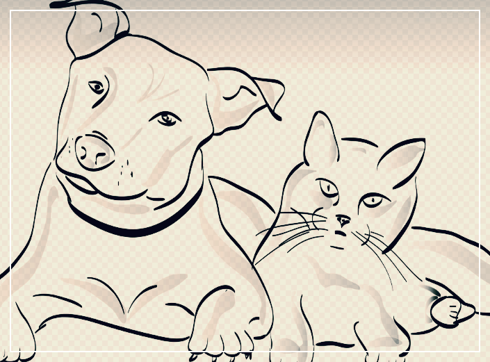 2025년 9월 전체적인 운세 흐름