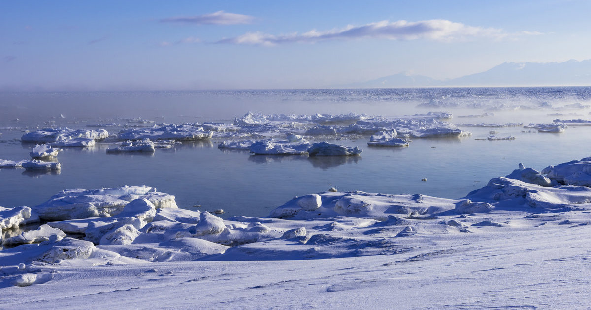 북극 여름 유빙