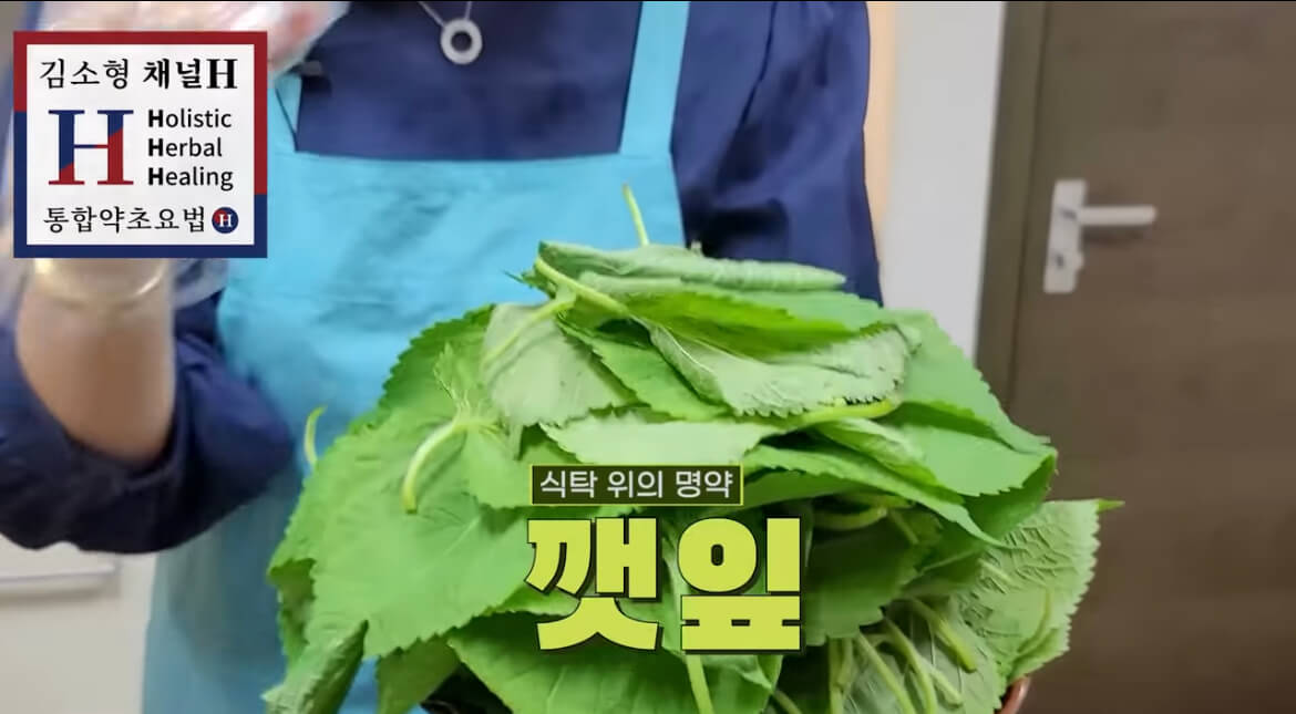 김소형 매실청 담그는 법