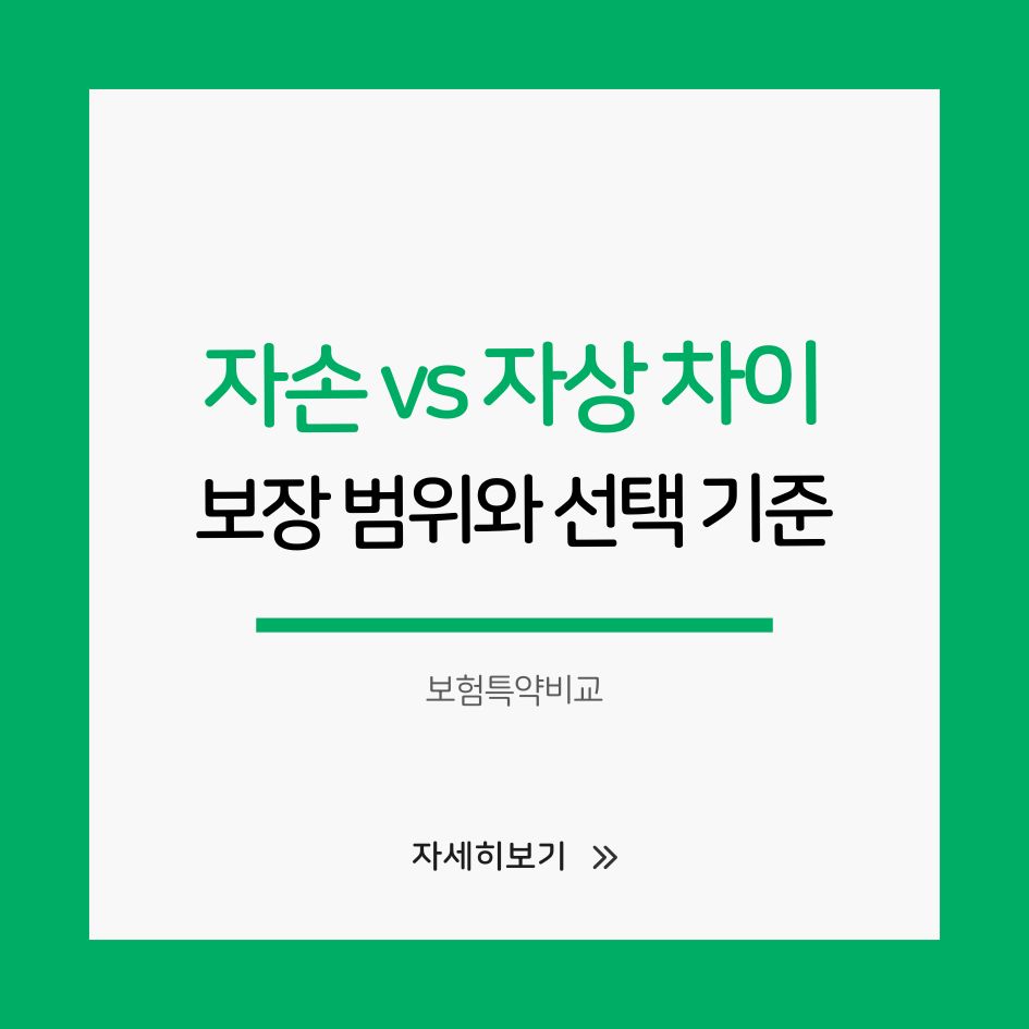 자동차보험 자손과 자상의 보장 범위 차이 설명 이미지